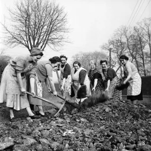 Housewives of Forge Row Aberavan seen here building their own road. March 1953 D1204-001