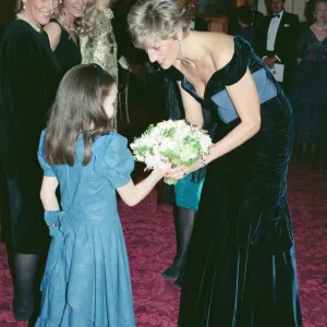 HRH Princess Diana at Carnival of the Birds Print 1991