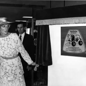 Su Alteza Real La Princesa de Gales, la princesa Diana, desvela una placa en el nuevo juguete Fisher-Price. Su Alteza Real La Princesa de Gales, la princesa Diana, desvela una placa en el nuevo juguete Fisher-Price.
