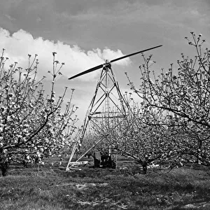 Huge fan to combat frost in apple orchards at Bramley, Cambridgeshire