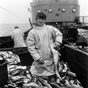 Hull trawler fishermen at work 15th June 1967
