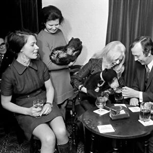 Humour: Unusual: Animals: Bears visits pub. December 1971 71-11988-001