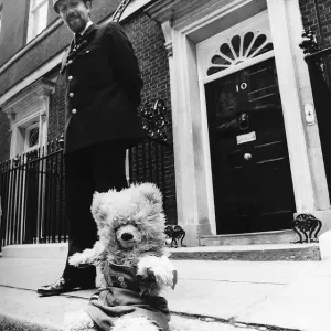 Humphrey Teddy Bear Print at 10 Downing Street Humphrey Teddy Bear Print at 10 Downing Street