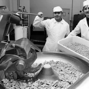 ICI, Billingham. Chicken production, with John Harvey (left ICI, Billingham. Chicken production, with John Harvey (left