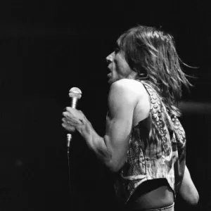 Iggy Pop (USA singer) performing at The Reading Rock Festival, Little Johns Farm Iggy Pop (USA singer) performing at The Reading Rock Festival, Little Johns Farm