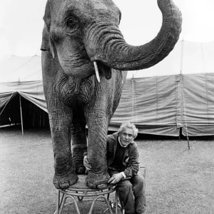 Indian Elephant Sarah Nail Filing Print, 16th May 1978 Indian Elephant Sarah Nail Filing Print, 16th May 1978