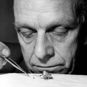 Insects Fleas Flea Circus. Professor Leonard Tomlin training one of his fleas to Insects Fleas Flea Circus. Professor Leonard Tomlin training one of his fleas to