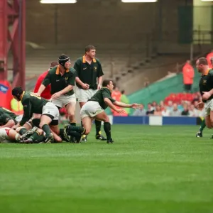 International friendly rugby match, Wales v South Africa. Wales won the match 29 - 19 International friendly rugby match, Wales v South Africa. Wales won the match 29 - 19
