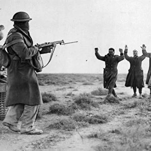 Italians soldiers surrendering to an Australian soldier in Bardia. January 1941