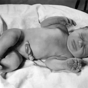 Janet Traylor, 3 mins after birth at the Royal Northern Hospital. July 1943 P009100