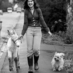 Jean Wooler walking "Misty"the donkey. January 1975 75-00591-001