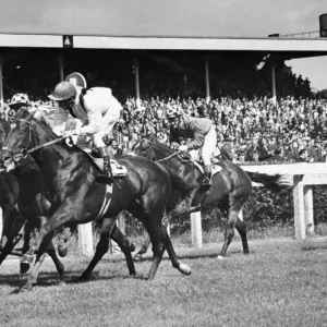 Newcastle Sprint 1972 Print Newcastle Sprint 1972 Print