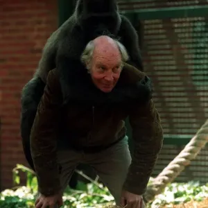 John Aspinall with a gorilla at Howletts Zoo December 1997 John Aspinall with a gorilla at Howletts Zoo December 1997