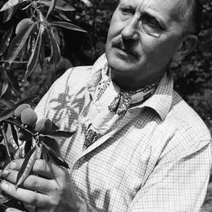 John Cradock husband of television chef Fanny Cradock, pictured in the garden of their John Cradock husband of television chef Fanny Cradock, pictured in the garden of their