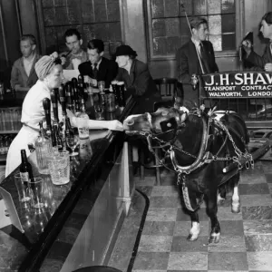 John Shaw and Felbridge Flash at The Surrey Arms, 1952 Print John Shaw and Felbridge Flash at The Surrey Arms, 1952 Print