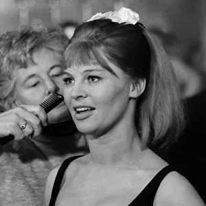 Julie Christie British actress having hair combed 1964