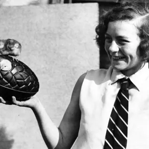 Large Easter Egg Poultry Containment Print, Kenilworth 1931