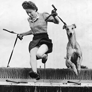 A Kennel Maid training greyhound puppies to jump hurdles at th Wembley Stadium