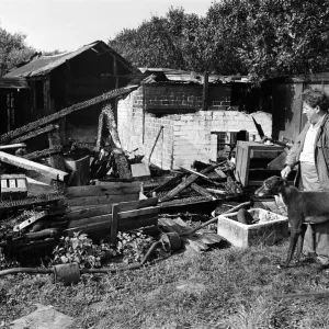 Kenneth Lee, with a rescued greyhound, looking at the damage caused by a fire at his Kenneth Lee, with a rescued greyhound, looking at the damage caused by a fire at his