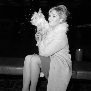 Kim Novak leaving London Airport for America with her dog Chilham Kim Novak leaving London Airport for America with her dog Chilham