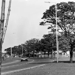Kirkleatham Lane, Redcar Print 1st October 1974