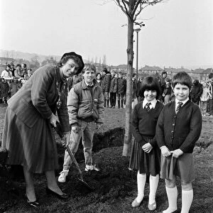 Kirklees Mayoress Mrs Barbara Walker plants a tree at Beech School, Golcar