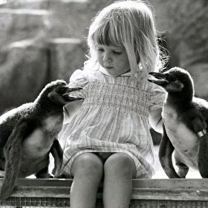 Kirsten Ogilvie in charge of two baby penguins- September 1981 The