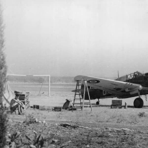 A Kittybomber Curtiss P-40 plane of Number 112 Squadron of the Royal Air Force