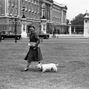 Labour MP Shirley Williams walking her dog. 7th June 1979