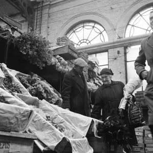 The Ladies of Covent Garden, Covent Garden, London. A lady shops for flowers The Ladies of Covent Garden, Covent Garden, London. A lady shops for flowers