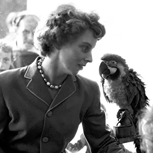 Lady with a parrot in a pet shop, Coventry July 1962 Local Caption Neg no