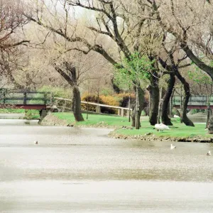 Lake at Locke Park, Redcar, 25th April 1994 Lake at Locke Park, Redcar, 25th April 1994