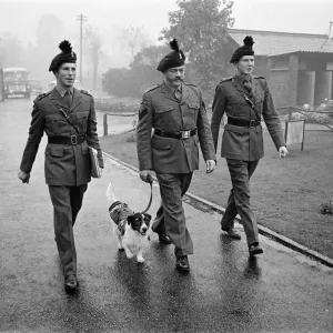 Lance corporal Paddy was promoted Sgt. Paddy, when he was collected