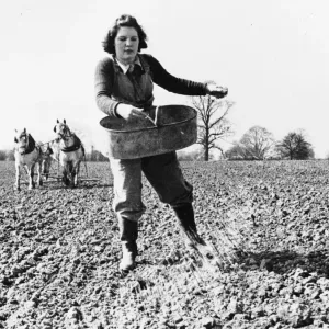 Print of a Land Army girl sowing seed by broadcast method