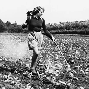 Land girl at Long Ashford (Bristol) Horticultural and Agricultural Research Station