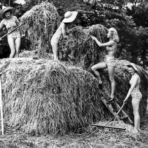 Land girls haymaking wearing swimming costumes as they work circa 1942 Land girls haymaking wearing swimming costumes as they work circa 1942