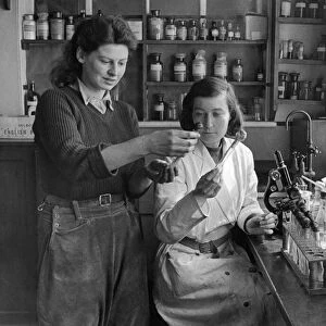 Land girls research job. April 1942 P003952
