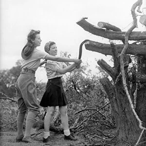 Landgirls chopping wood during WW2 - 1940 Women doing mens jobs during the war