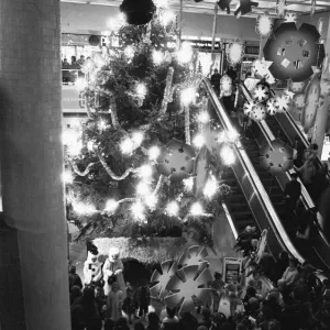 Late night shoppers admiring the giant Christmas tree and display following Reading Late night shoppers admiring the giant Christmas tree and display following Reading