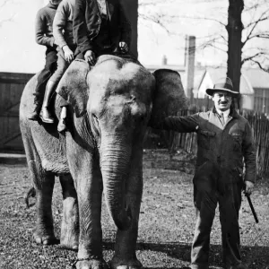 La più recente aggiunta ai Liverpool Zoological Gardens è arrivata questa mattina da una nave a vapore.