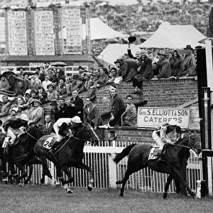 Lavandin with W R Johnstone wins Derby at Epsom 1956 Montaval 2nd Roister 3rd