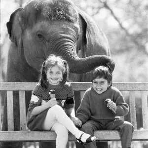 Layang Layang at London Zoo Print 28th April 1987