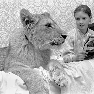 "Leonie"the Lioness. Leonie is the favourite pet of the youngest daughter of