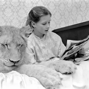 Leonie'the Lioness. Leonie is the favourite pet of the youngest daughter of Leonie'the Lioness. Leonie is the favourite pet of the youngest daughter of