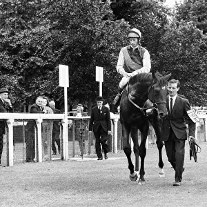 Lester Piggott on racehorse Nijinsky wins the King George VI