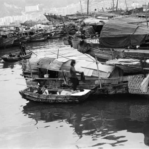 Life in 1960s Colonial Hong Kong, with a rapidly growing population of more than 4 Life in 1960s Colonial Hong Kong, with a rapidly growing population of more than 4