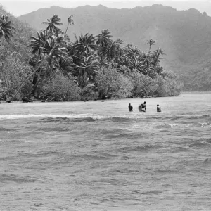 Life on Tahiti, one of the Polynesian Islands, French Polynesia, in the Pacific Ocean Life on Tahiti, one of the Polynesian Islands, French Polynesia, in the Pacific Ocean