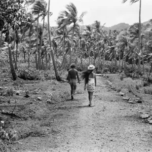 Life on Tahiti, one of the Polynesian Islands, French Polynesia, in the Pacific Ocean Life on Tahiti, one of the Polynesian Islands, French Polynesia, in the Pacific Ocean