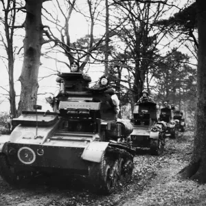 Light tanks taking cover in a woods during Second World War. 6th December 1940 Light tanks taking cover in a woods during Second World War. 6th December 1940
