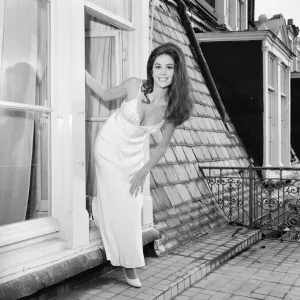 Linda Harrison, american actress in the UK to attend the Royal Film Performance of Linda Harrison, american actress in the UK to attend the Royal Film Performance of